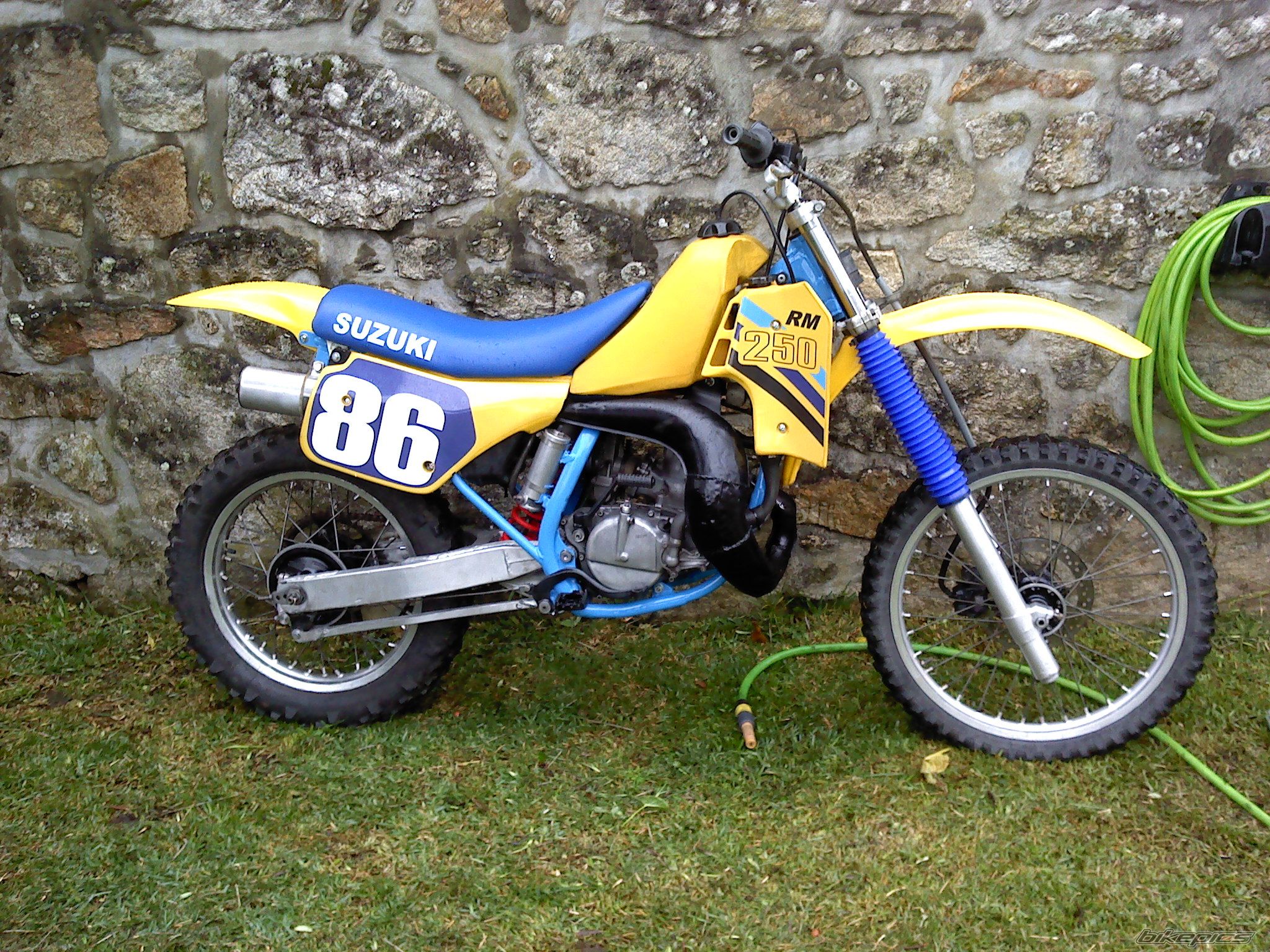 1986 SUZUKI RM 250 | Picture 2479772 motorcycle photo