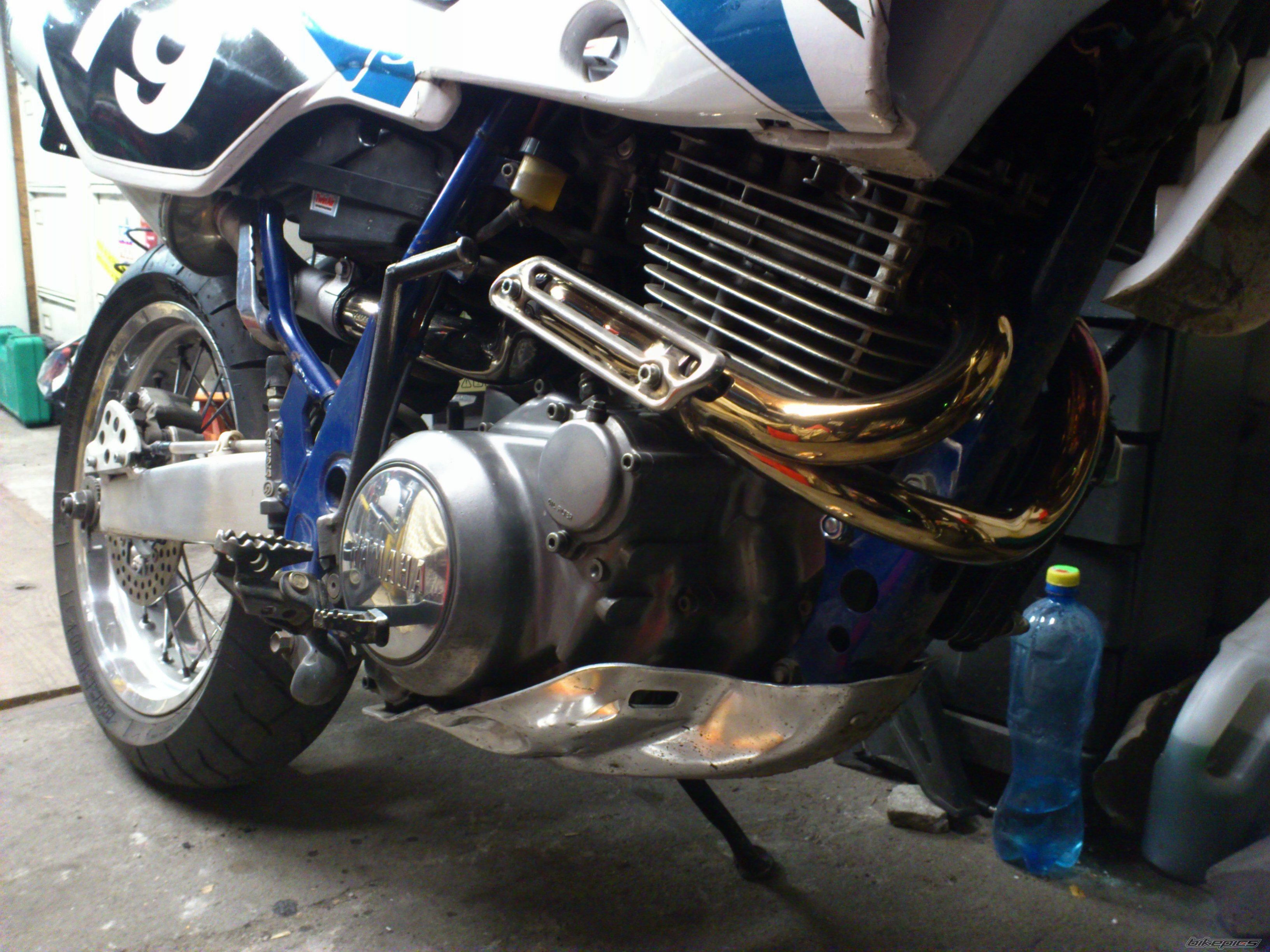 1995 YAMAHA TTR 600 | Picture 2479794 motorcycle photo
