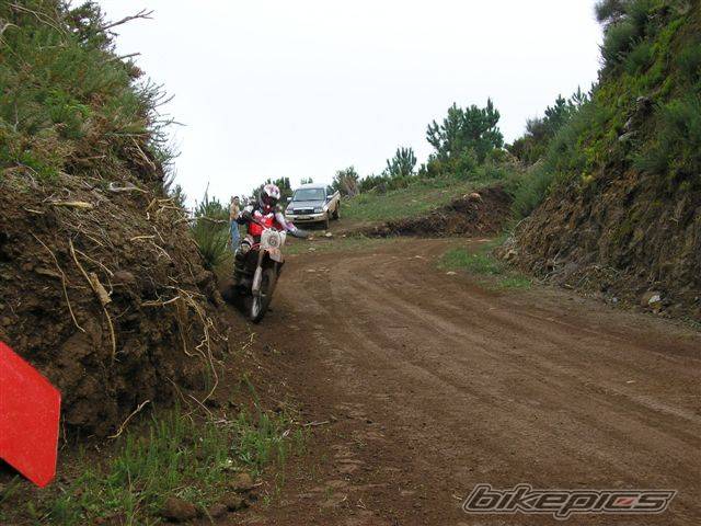 2003 HONDA CRF 450 | Picture 248067 motorcycle photo