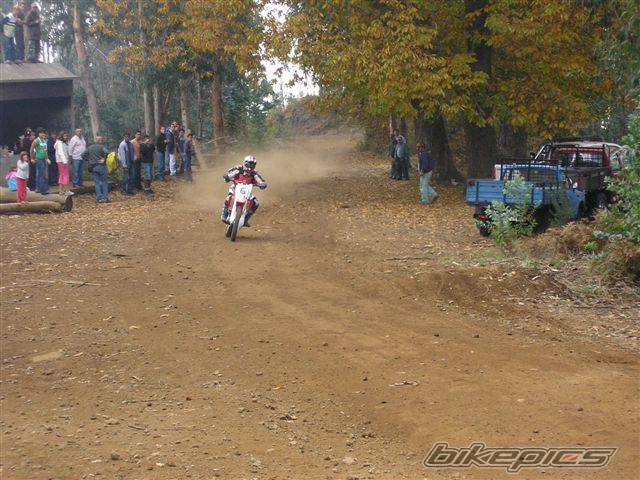 2003 HONDA CRF 450 | Picture 248068 motorcycle photo