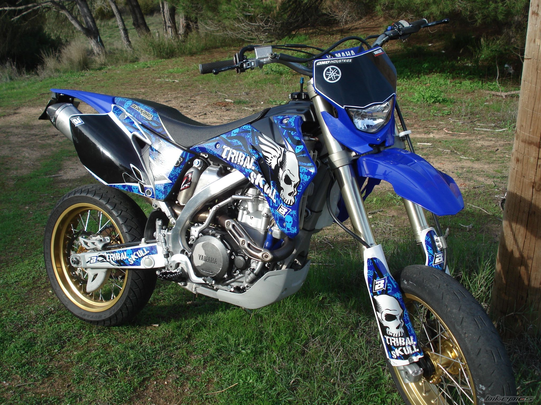 2008 YAMAHA WR 450F | Picture 2480802 motorcycle photo