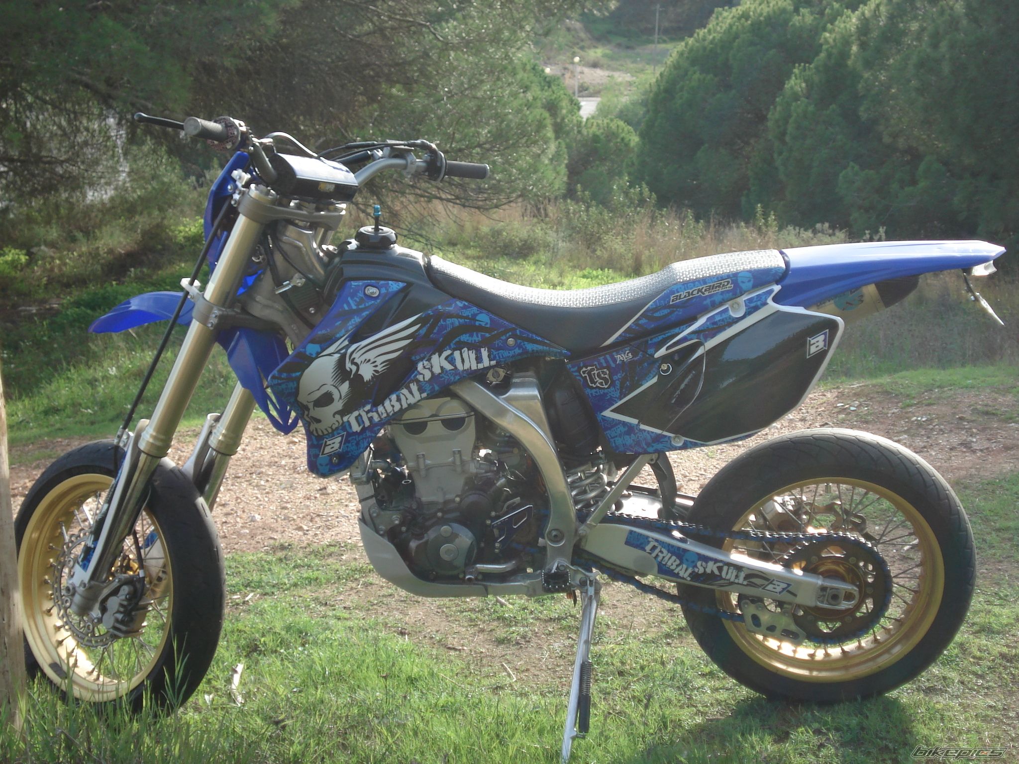 2008 YAMAHA WR 450F | Picture 2480806 motorcycle photo