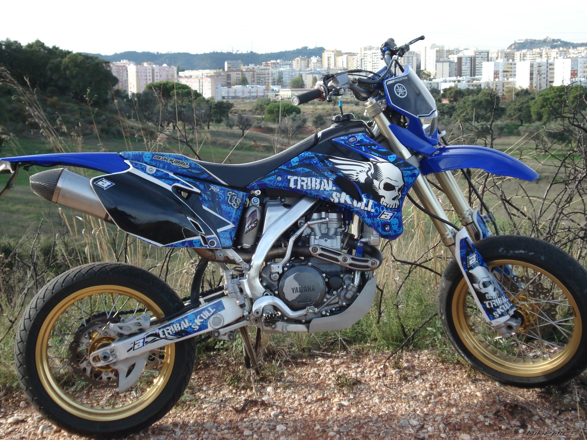 2008 YAMAHA WR 450F | Picture 2480809 motorcycle photo