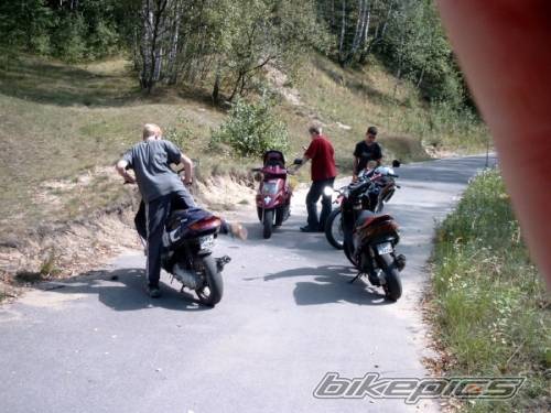 2004 MALAGUTI F 10 50 | Picture 248119 motorcycle photo