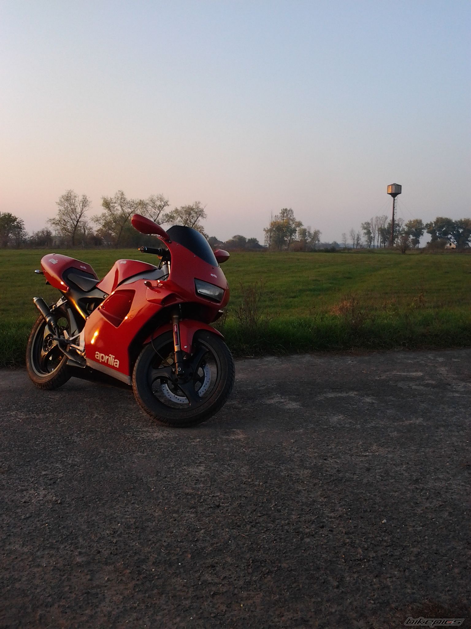1993 APRILIA RS 50 | Picture 2481638 motorcycle photo