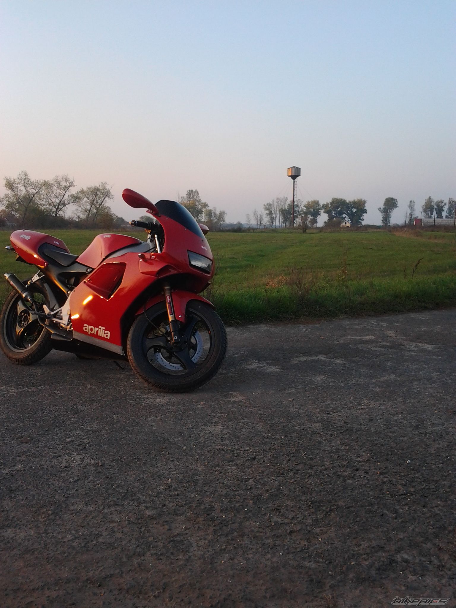 1993 APRILIA RS 50 | Picture 2481645 motorcycle photo
