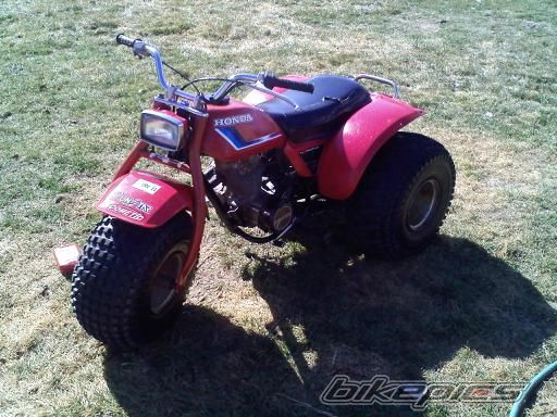 1982 HONDA ATC 185 | Picture 2482337 motorcycle photo