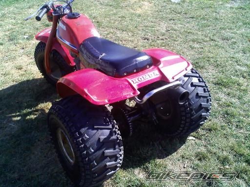 1982 HONDA ATC 185 | Picture 2482338 motorcycle photo