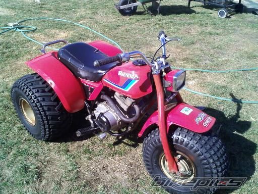 1982 HONDA ATC 185 | Picture 2482340 motorcycle photo