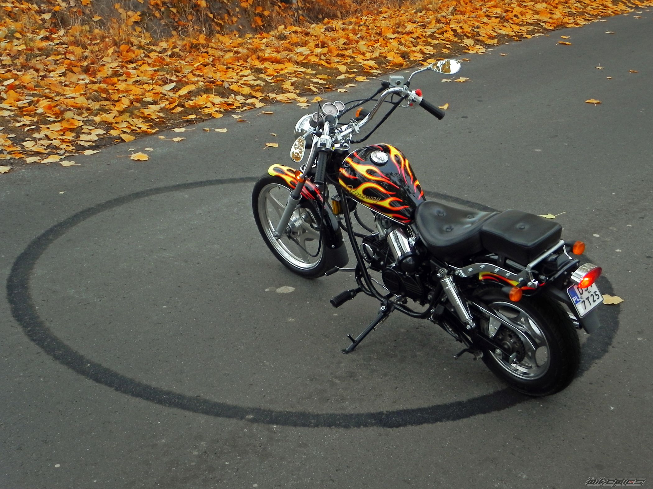 2009 KINGWAY CHOPPER | Picture 2482888 motorcycle photo