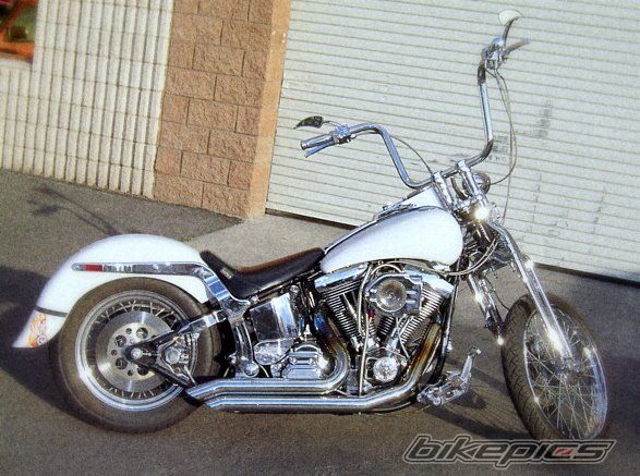 1998 HARLEY DAVIDSON HERITAGE SOFTAIL CLASSIC | Picture 2483242 motorcycle photo