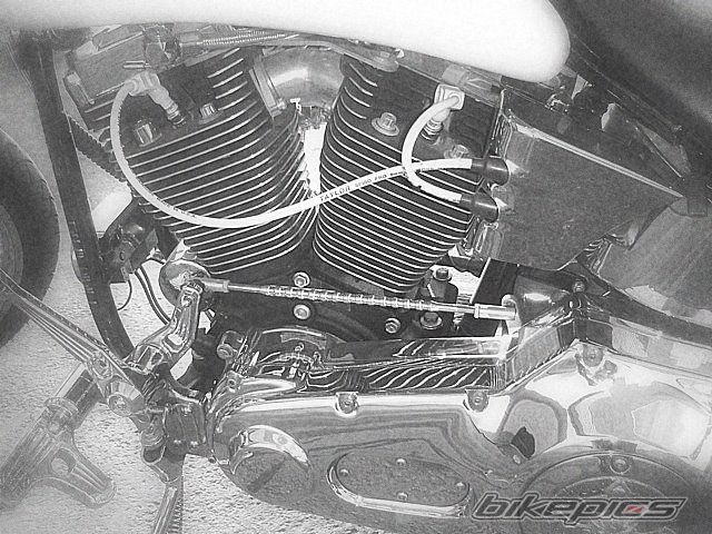 1998 HARLEY DAVIDSON HERITAGE SOFTAIL CLASSIC | Picture 2483246 motorcycle photo