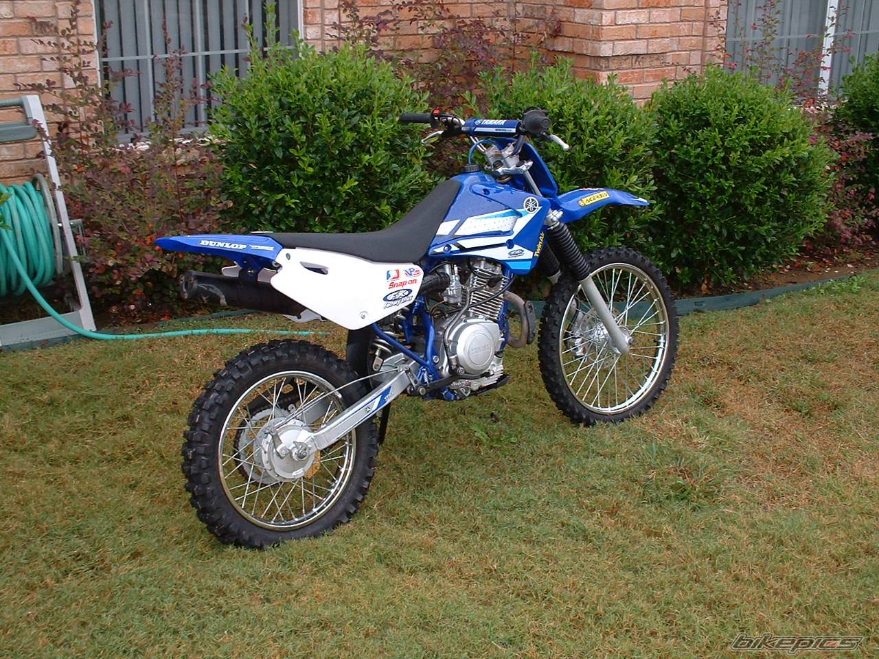 2001 YAMAHA TTR 125 | Picture 248332 motorcycle photo