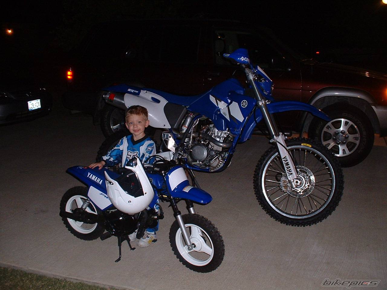 2004 YAMAHA PW 50 | Picture 248336 motorcycle photo