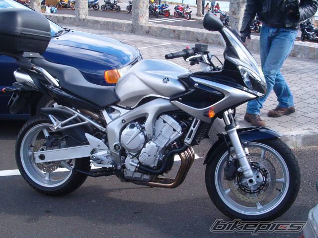 2004 YAMAHA FZ6 FAZER | Picture 248391 motorcycle photo