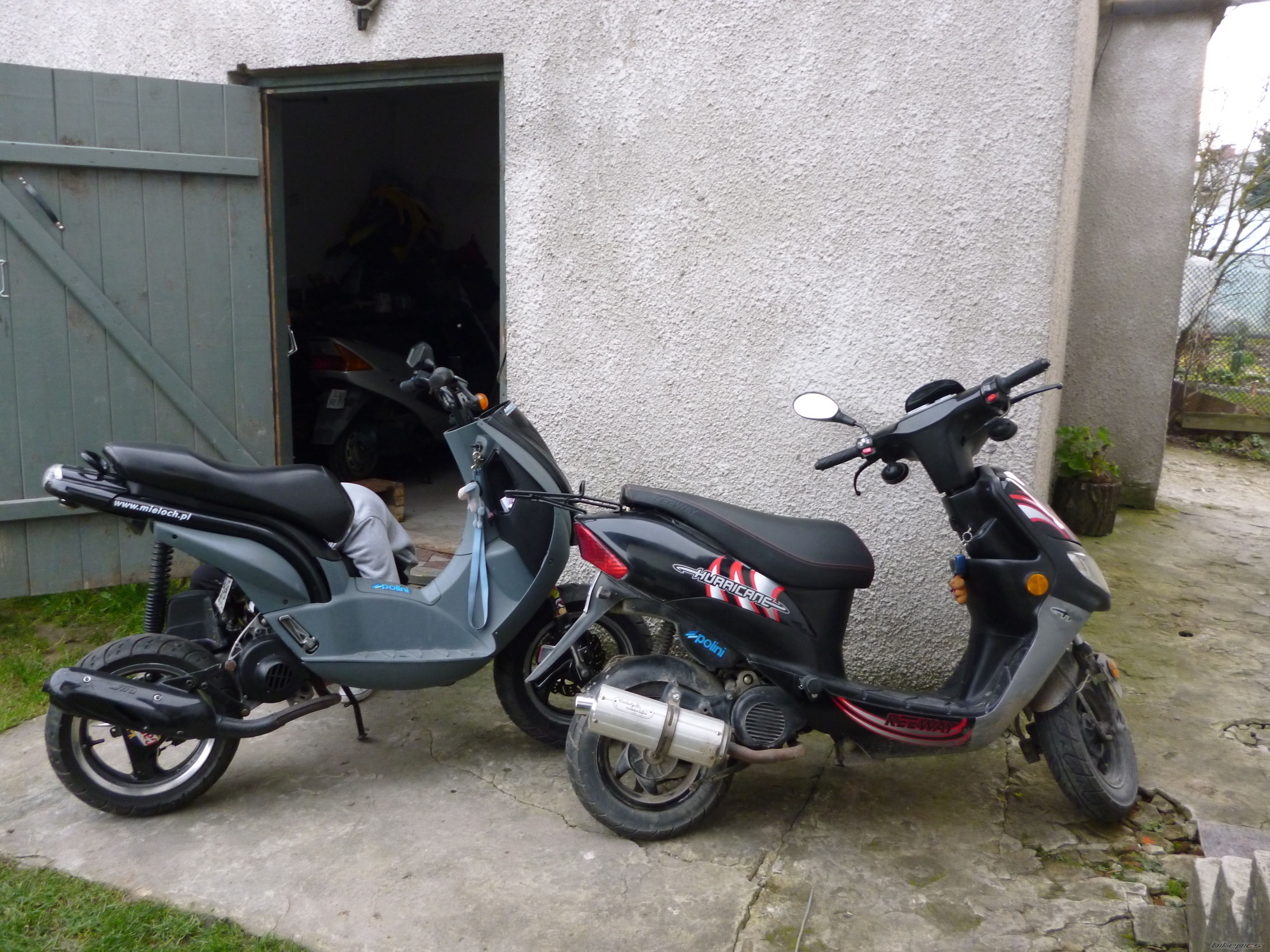 2004 PEUGEOT LUDIX | Picture 2484182 motorcycle photo