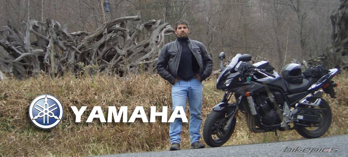 2004 YAMAHA FZ 1 | Picture 248435 motorcycle photo
