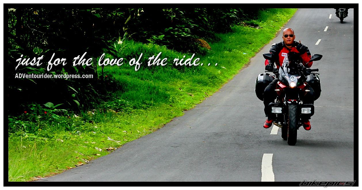 2008 BAJAJ PULSAR 200 | Picture 2484856 motorcycle photo