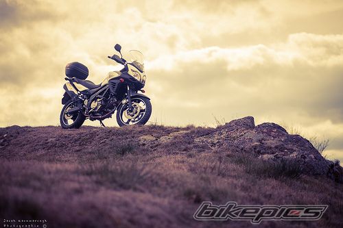2012 SUZUKI V STROM | Picture 2484875 motorcycle photo