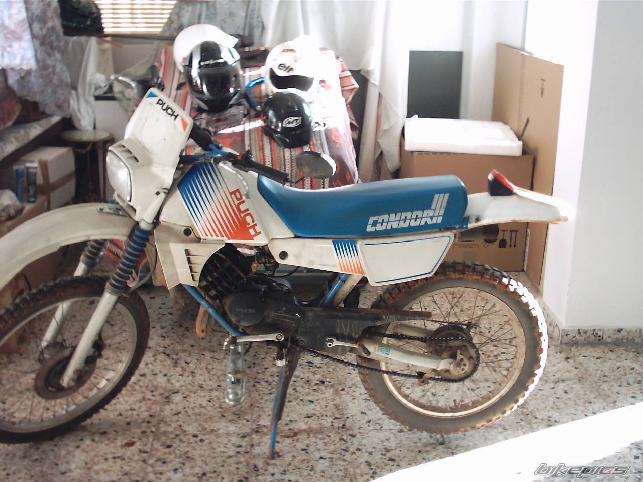 1986 PUCH CONDOR III | Picture 248489 motorcycle photo
