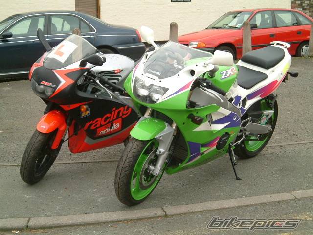 2001 APRILIA RS 125 | Picture 248571 motorcycle photo