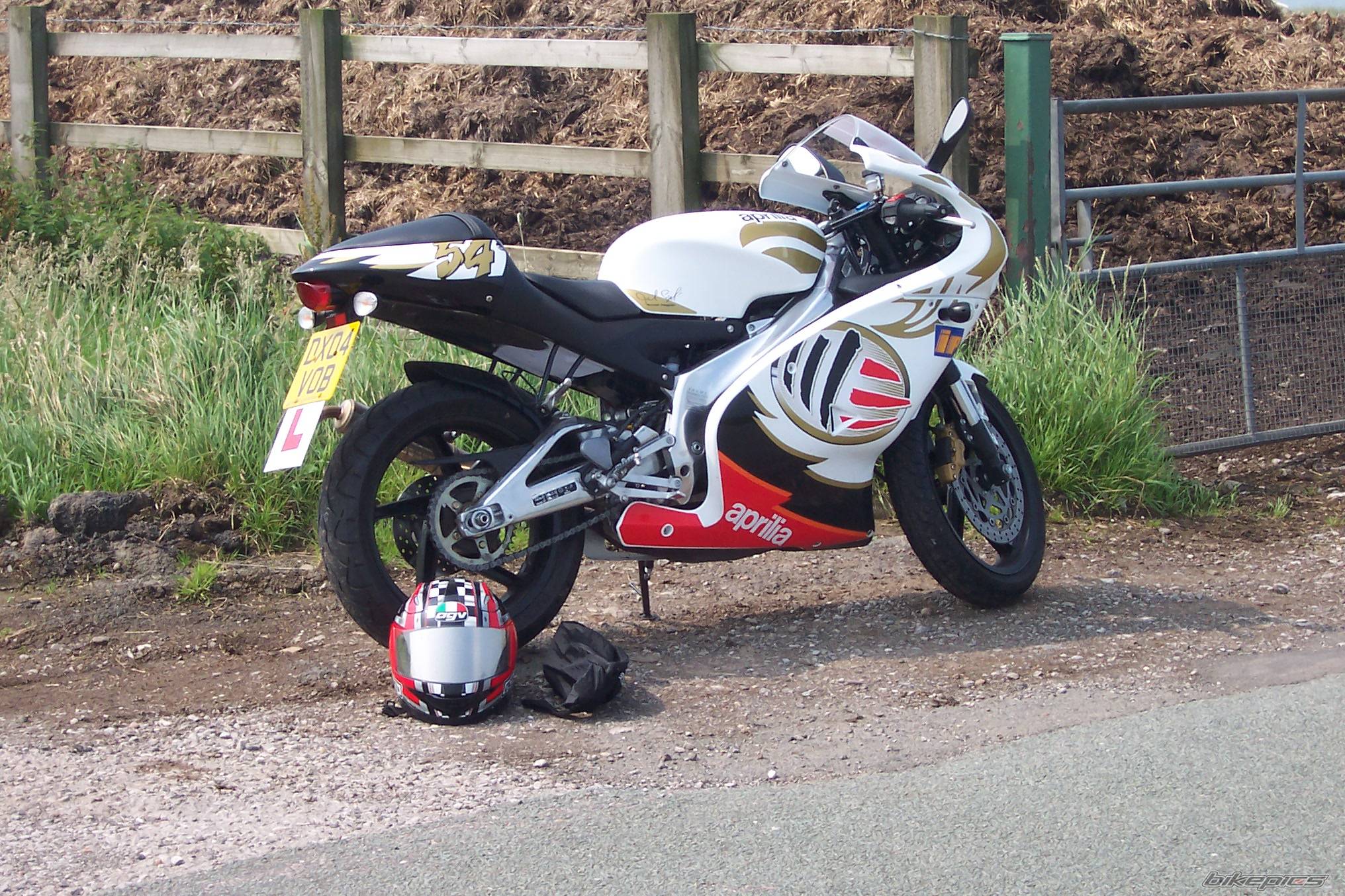 2004 APRILIA RS 125 | Picture 248577 motorcycle photo