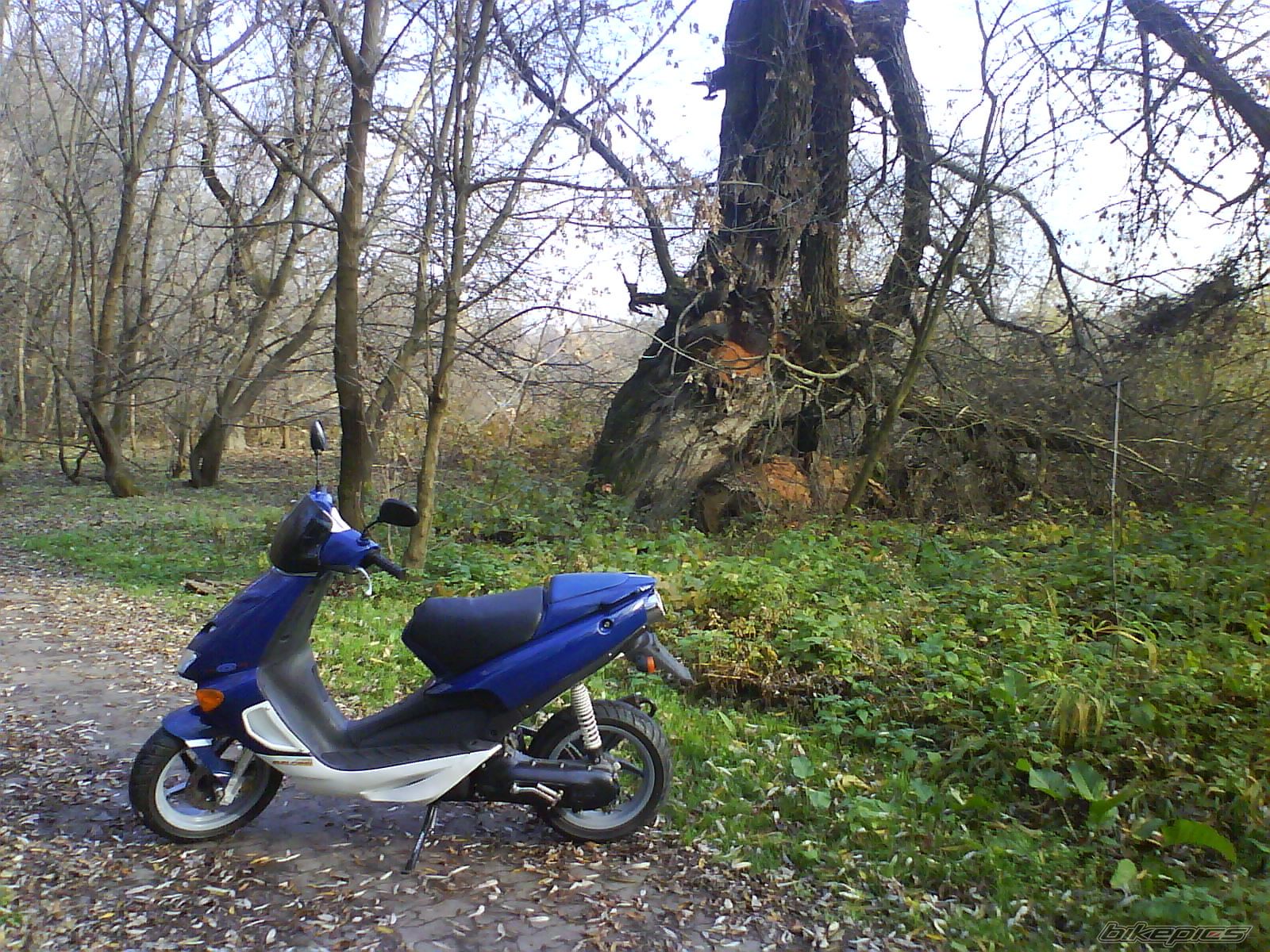 2000 APRILIA SR WWW 50 | Picture 2486110 motorcycle photo