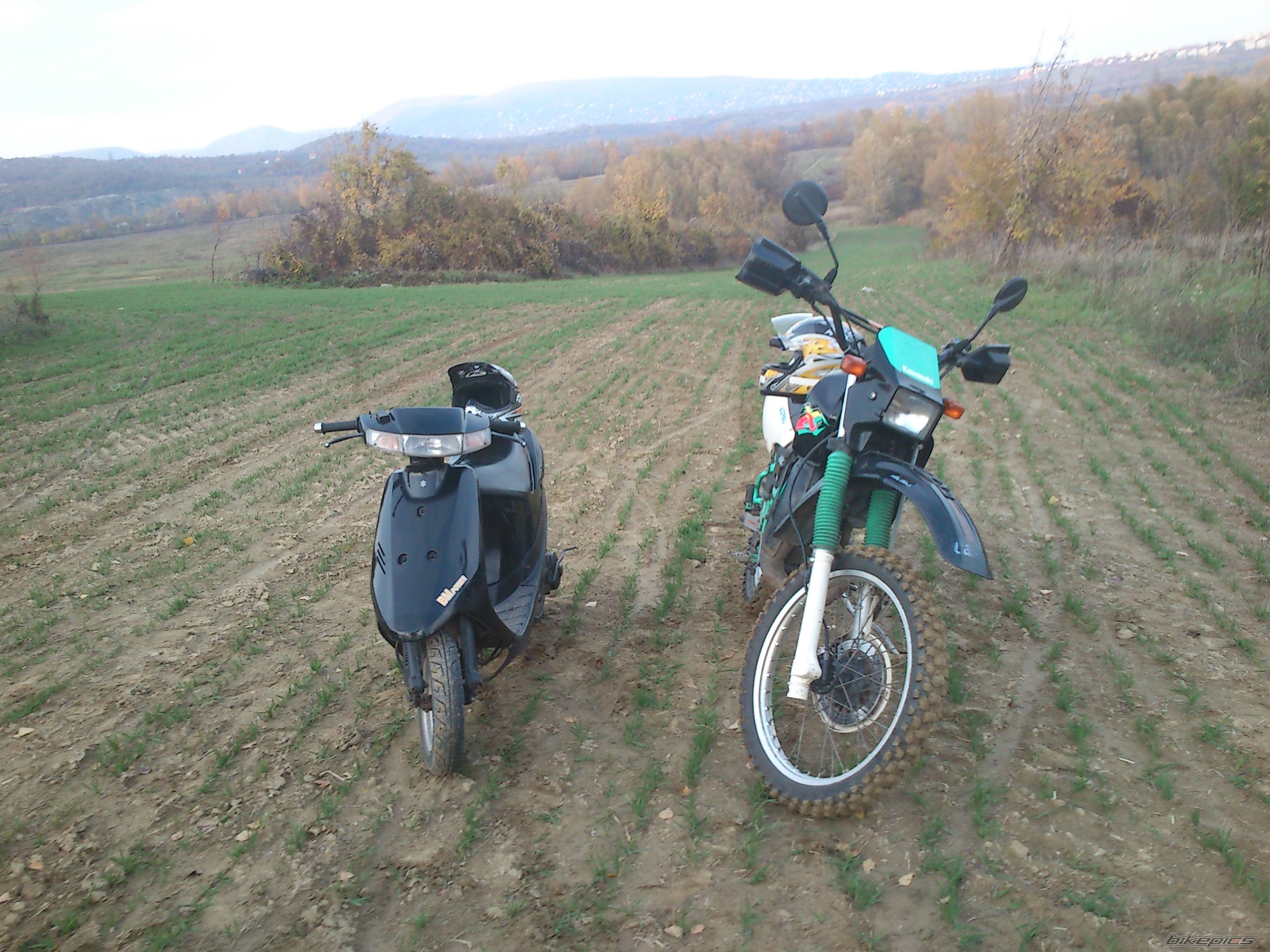 1997 KAWASAKI KMX 125 | Picture 2486596 motorcycle photo