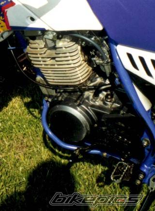 2000 YAMAHA TTR 350 | Picture 24871 motorcycle photo