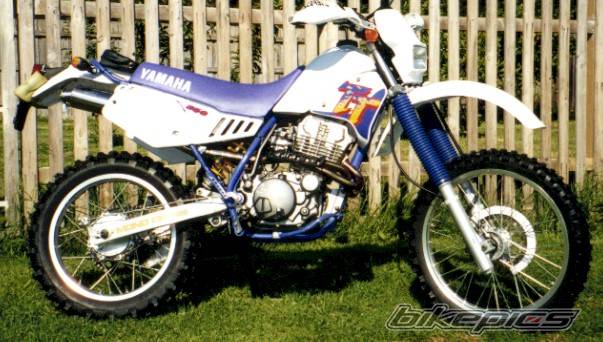 2000 YAMAHA TTR 350 | Picture 24875 motorcycle photo