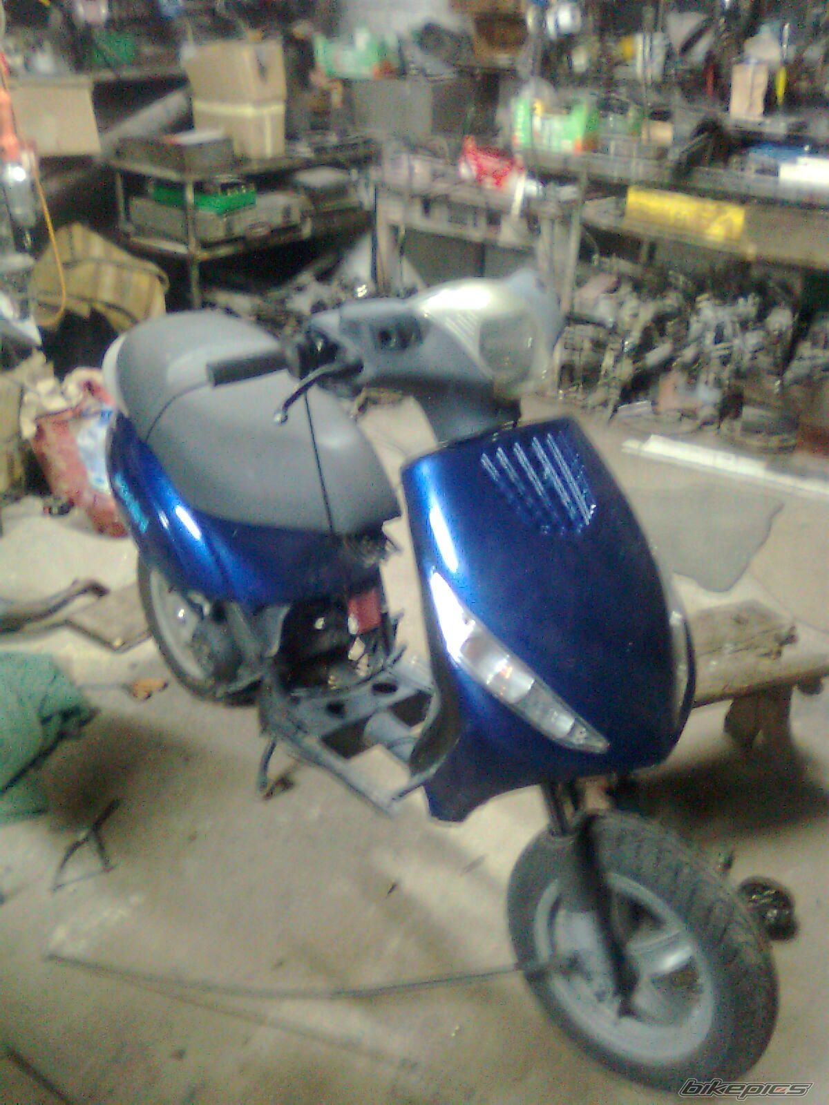 2003 PIAGGIO ZIP | Picture 2487928 motorcycle photo