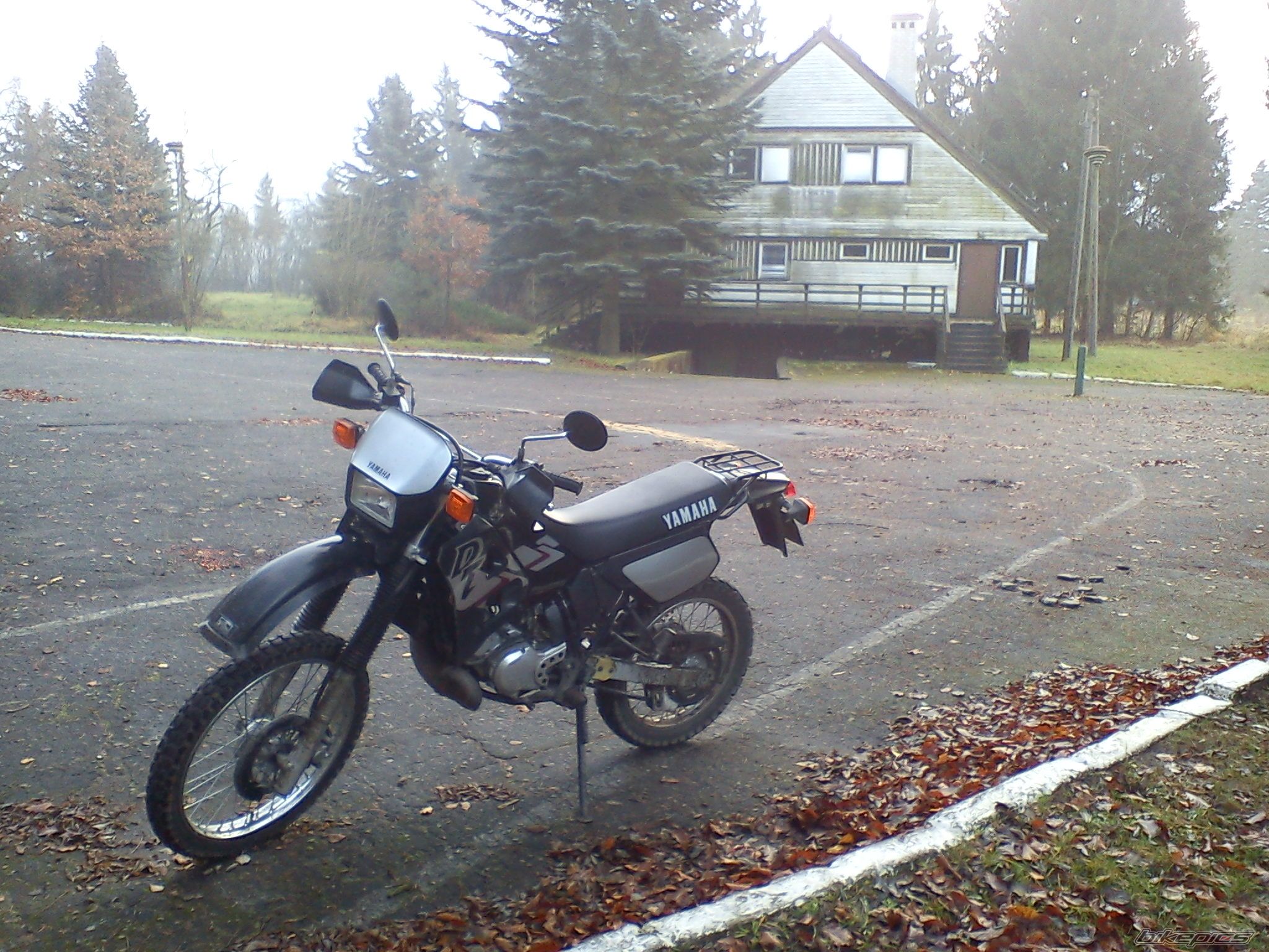 2001 YAMAHA DT 125 | Picture 2488228 motorcycle photo