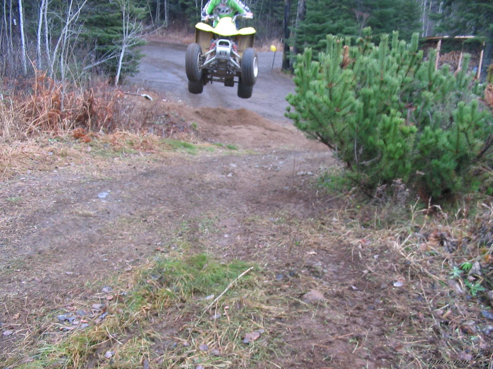 2004 SUZUKI LTZ 250 | Picture 248847 motorcycle photo