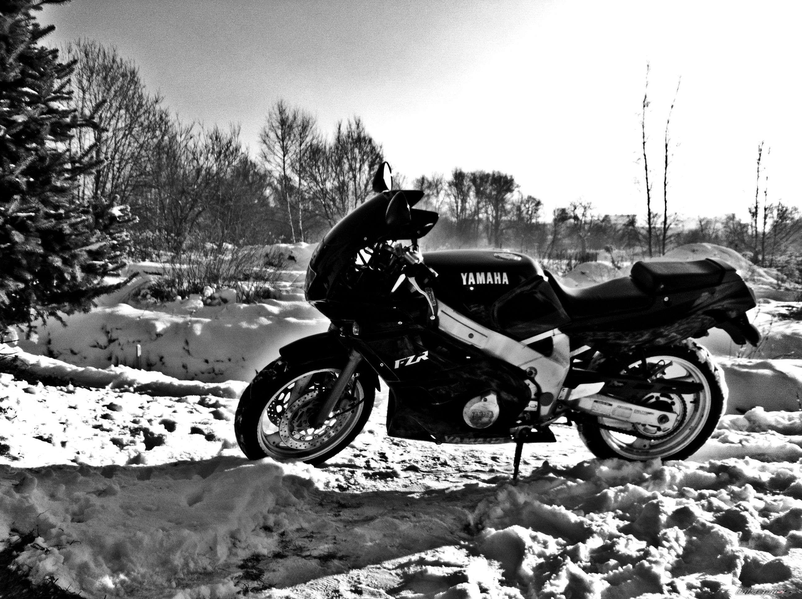 1992 YAMAHA FZR 600 | Picture 2488589 motorcycle photo