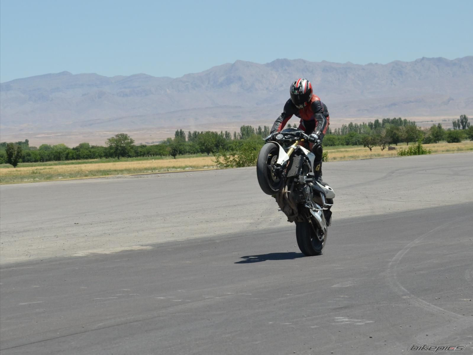2006 HONDA CBR 600 RR | Picture 2488917 motorcycle photo