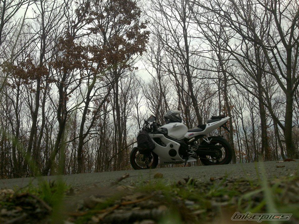 2002 HONDA CBR 600 F4I | Picture 2488967 motorcycle photo