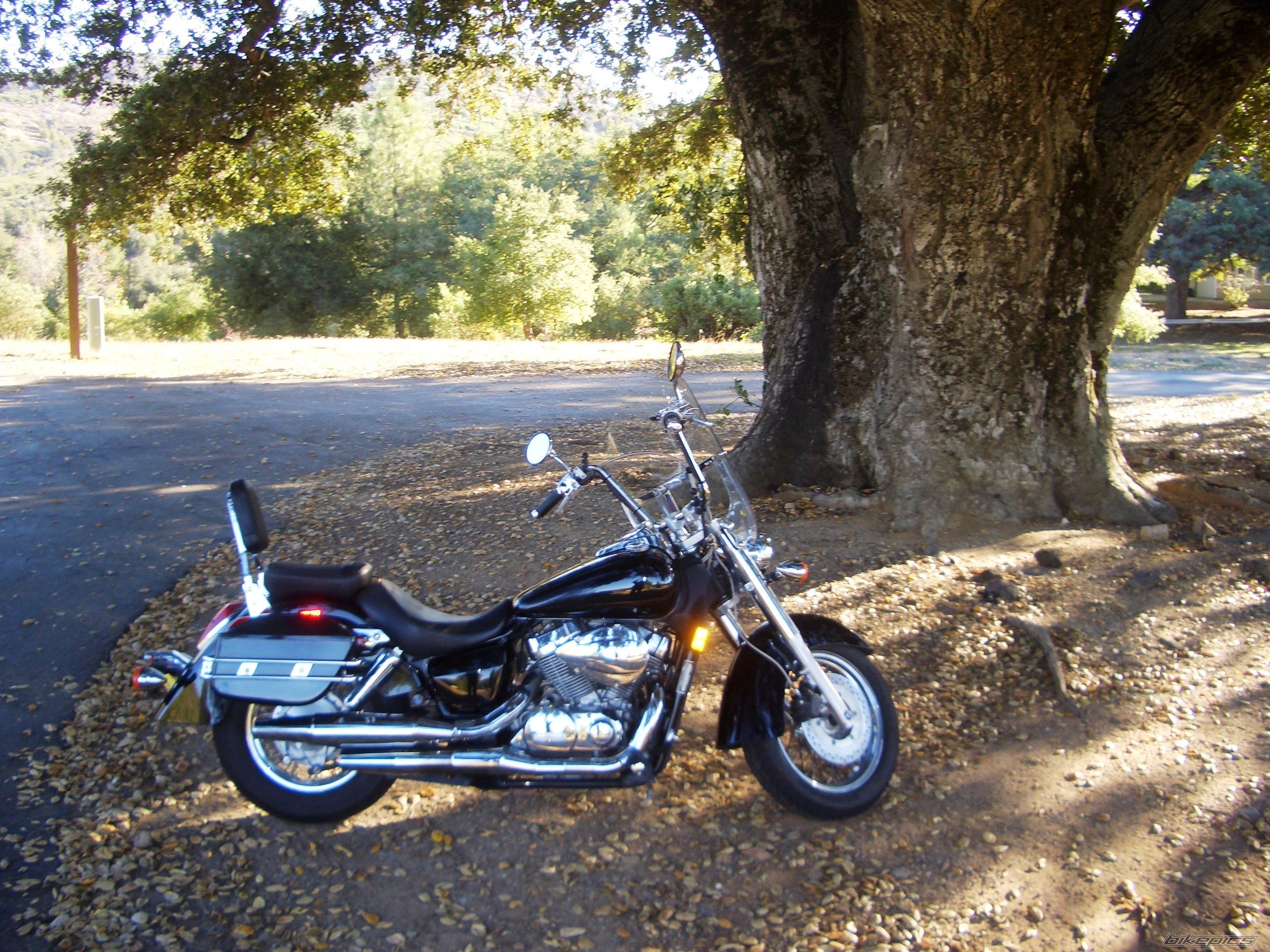 2009 HONDA SHADOW AERO 750 | Picture 2490024 motorcycle photo