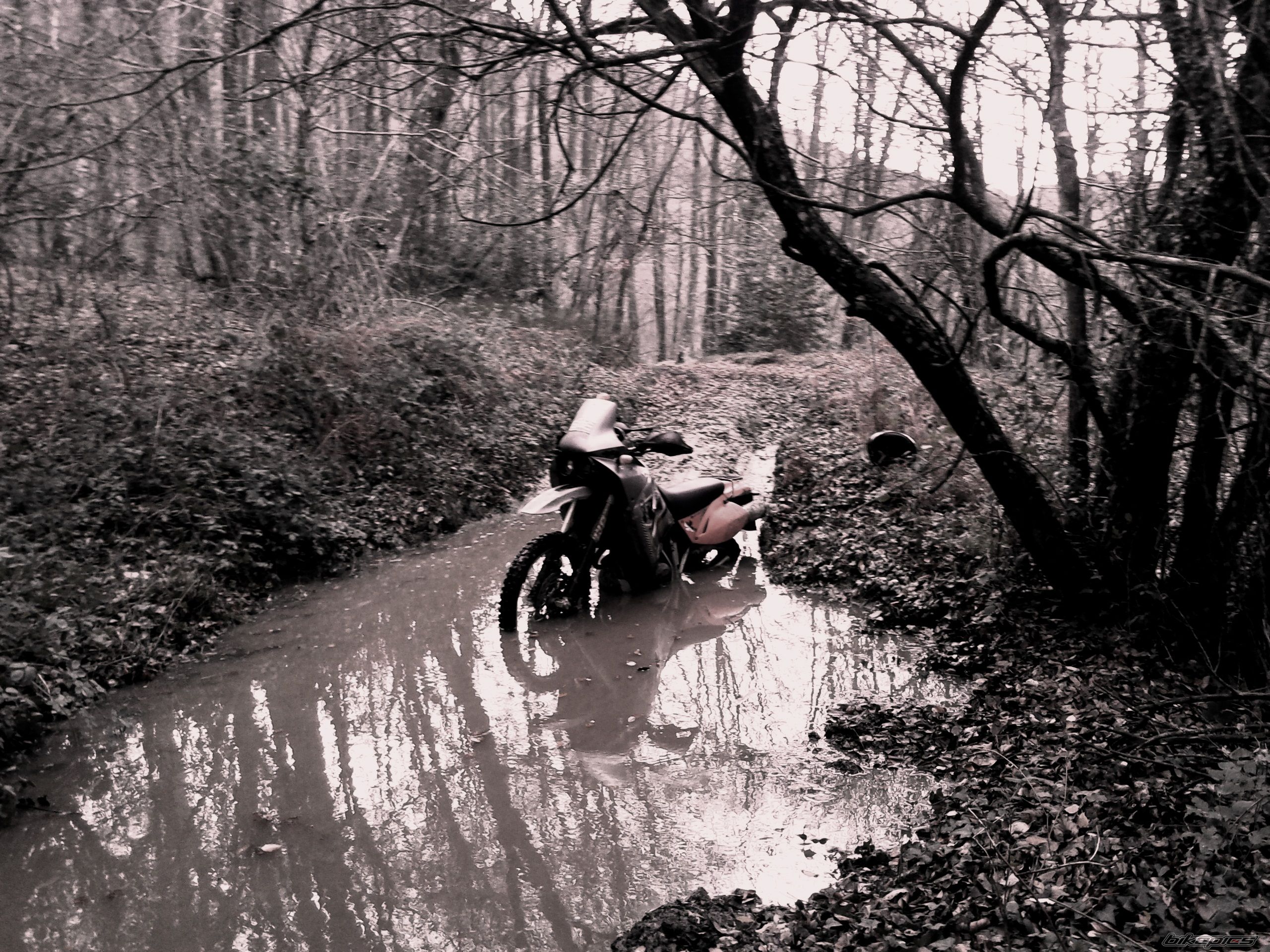 2002 KTM 640 ADVENTURE R | Picture 2490987 motorcycle photo