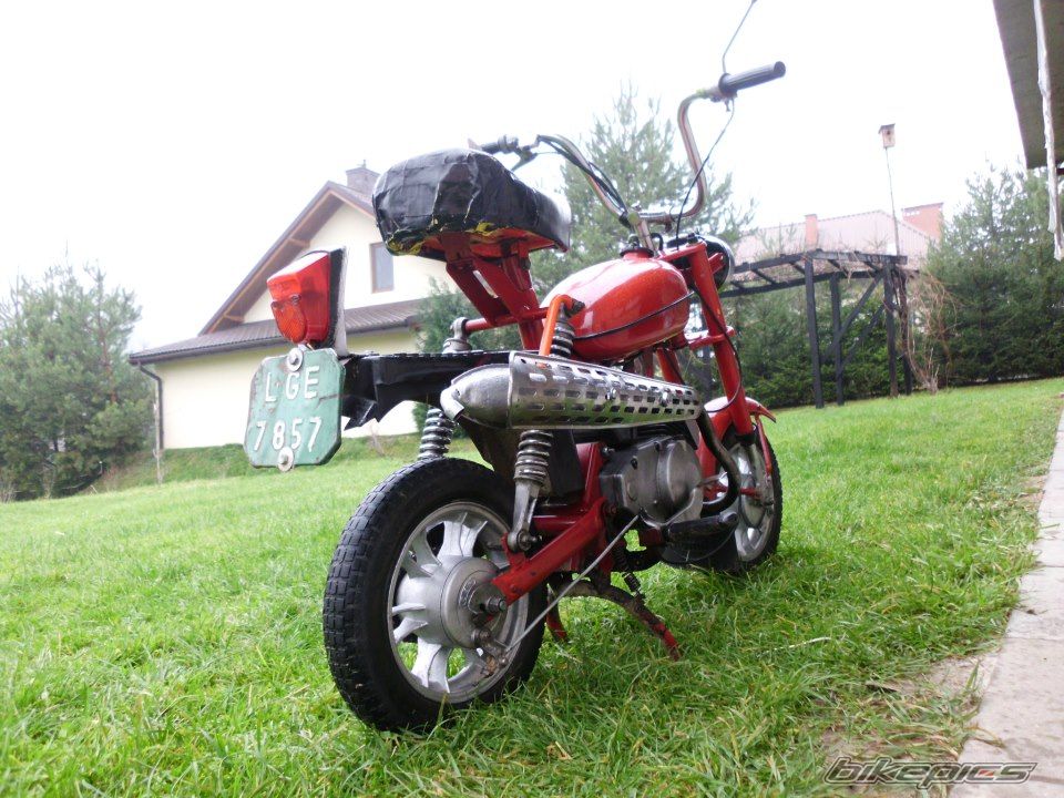 1987 ROMET PONY50 M1 | Picture 2491036 motorcycle photo