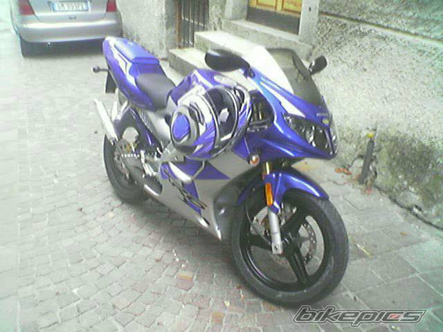 2004 PEUGEOT XR6 | Picture 249124 motorcycle photo