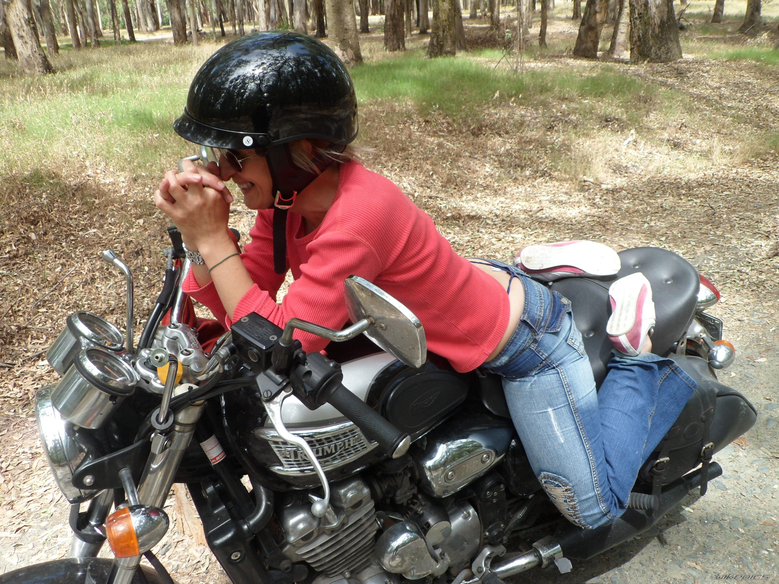    | Picture 2491273 motorcycle photo