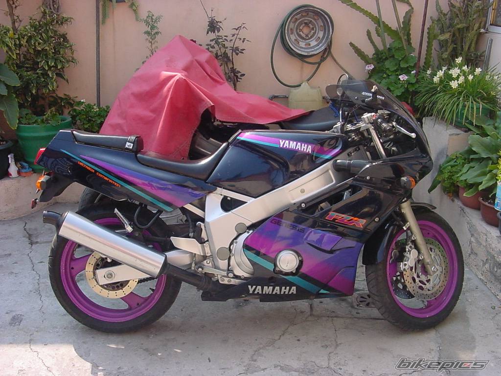 1994 YAMAHA FZR 600 | Picture 249162 motorcycle photo