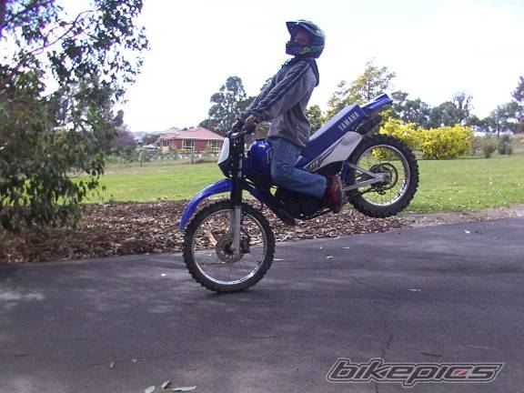 2000 YAMAHA DT 175 | Picture 249181 motorcycle photo