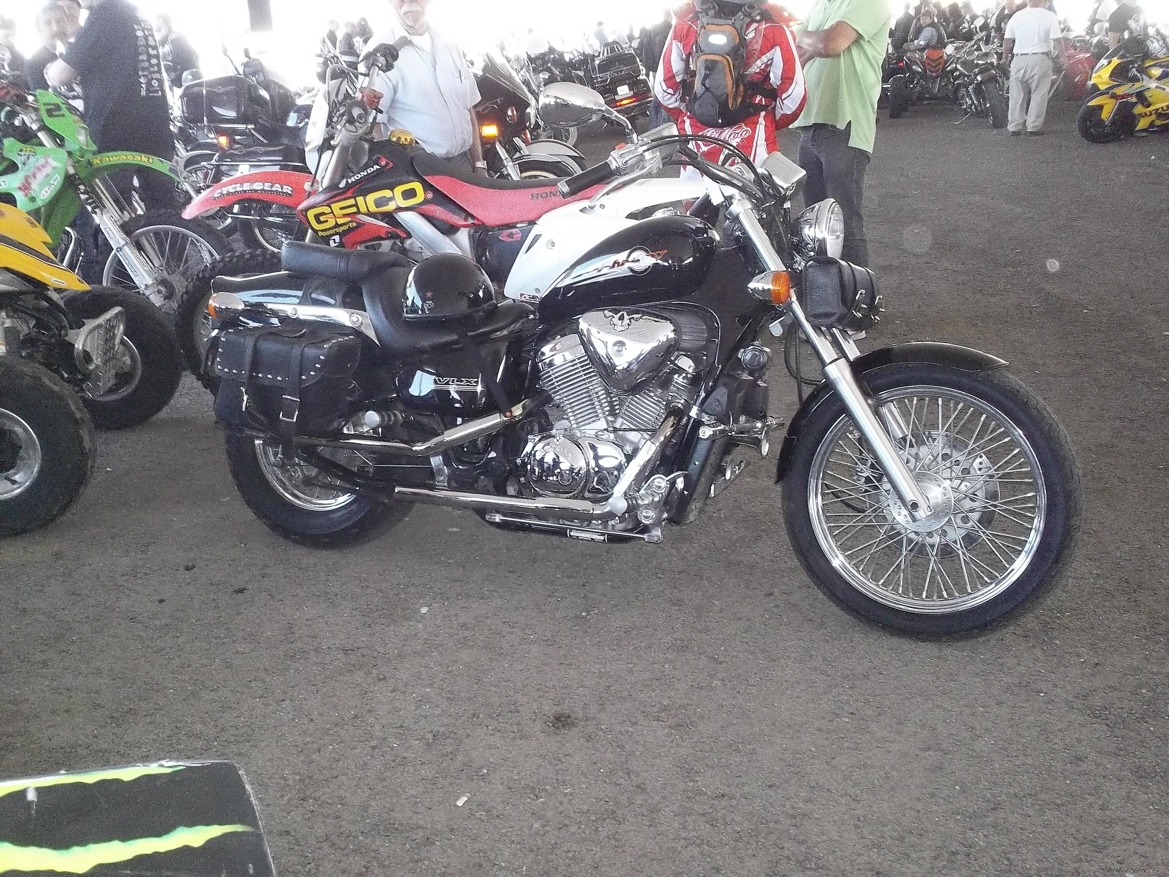 2005 HONDA VLX 600 | Picture 2492006 motorcycle photo