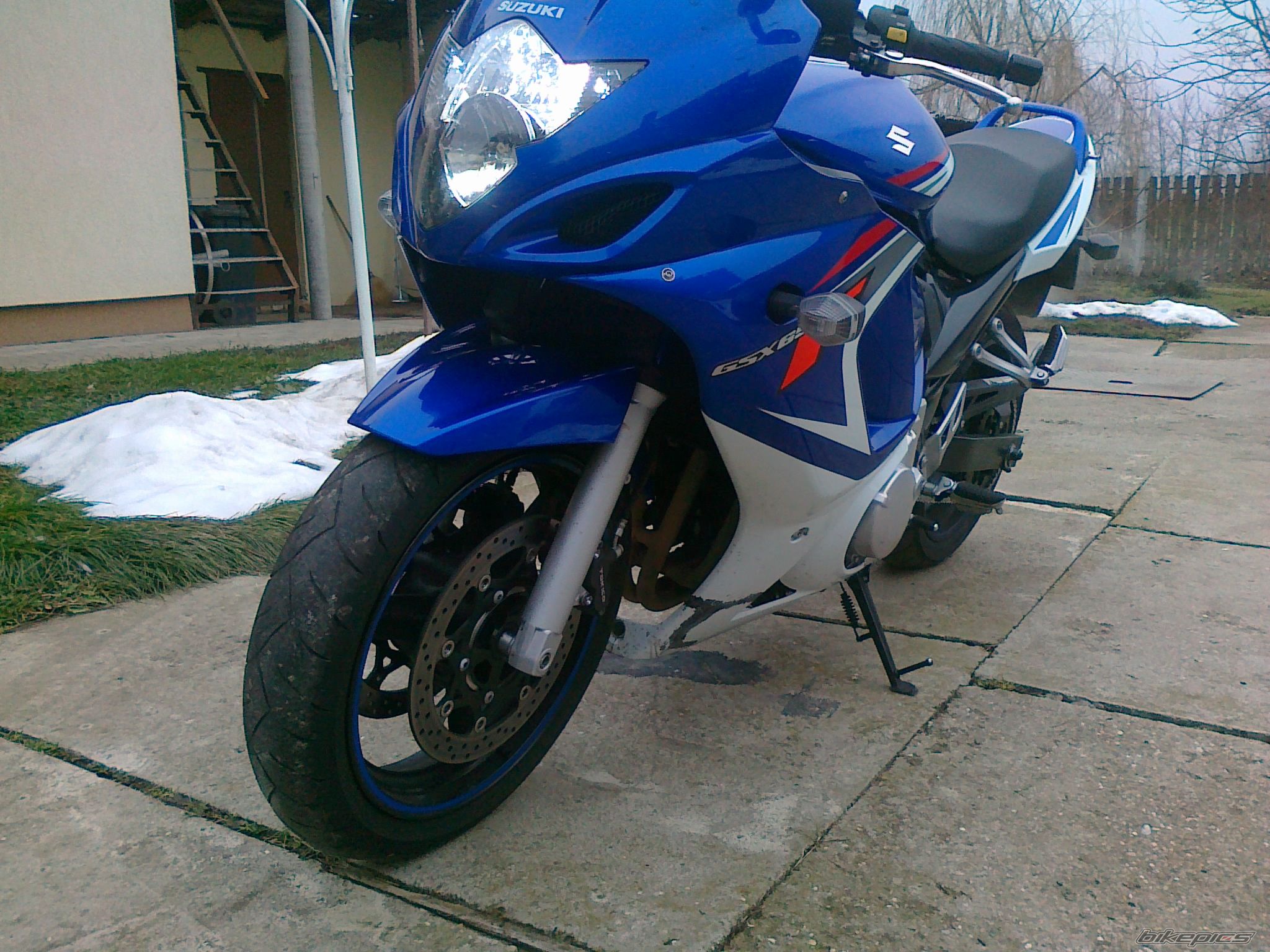 2008 SUZUKI GSX650F | Picture 2493269 motorcycle photo