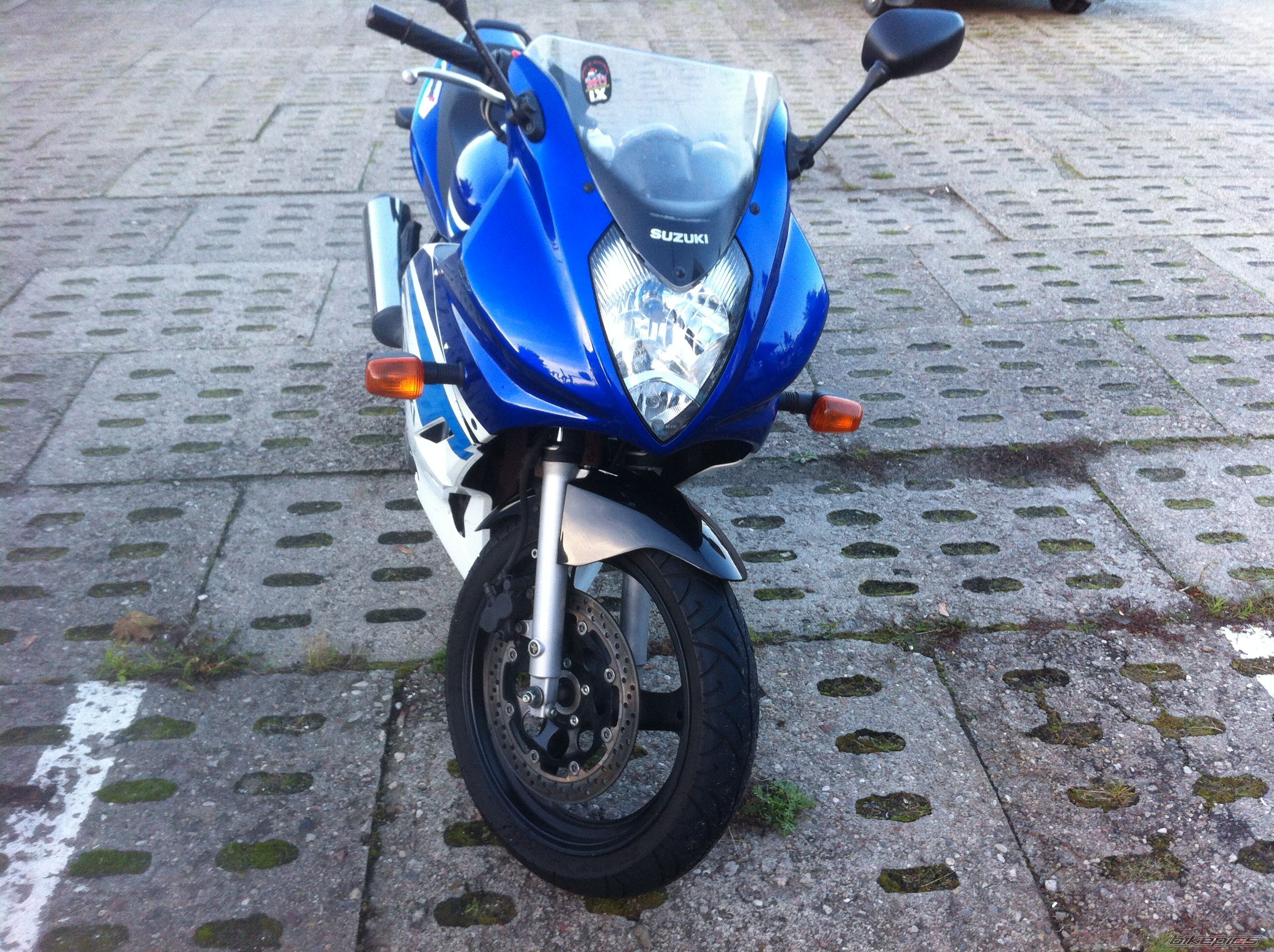 2005 SUZUKI GS500F | Picture 2493625 motorcycle photo