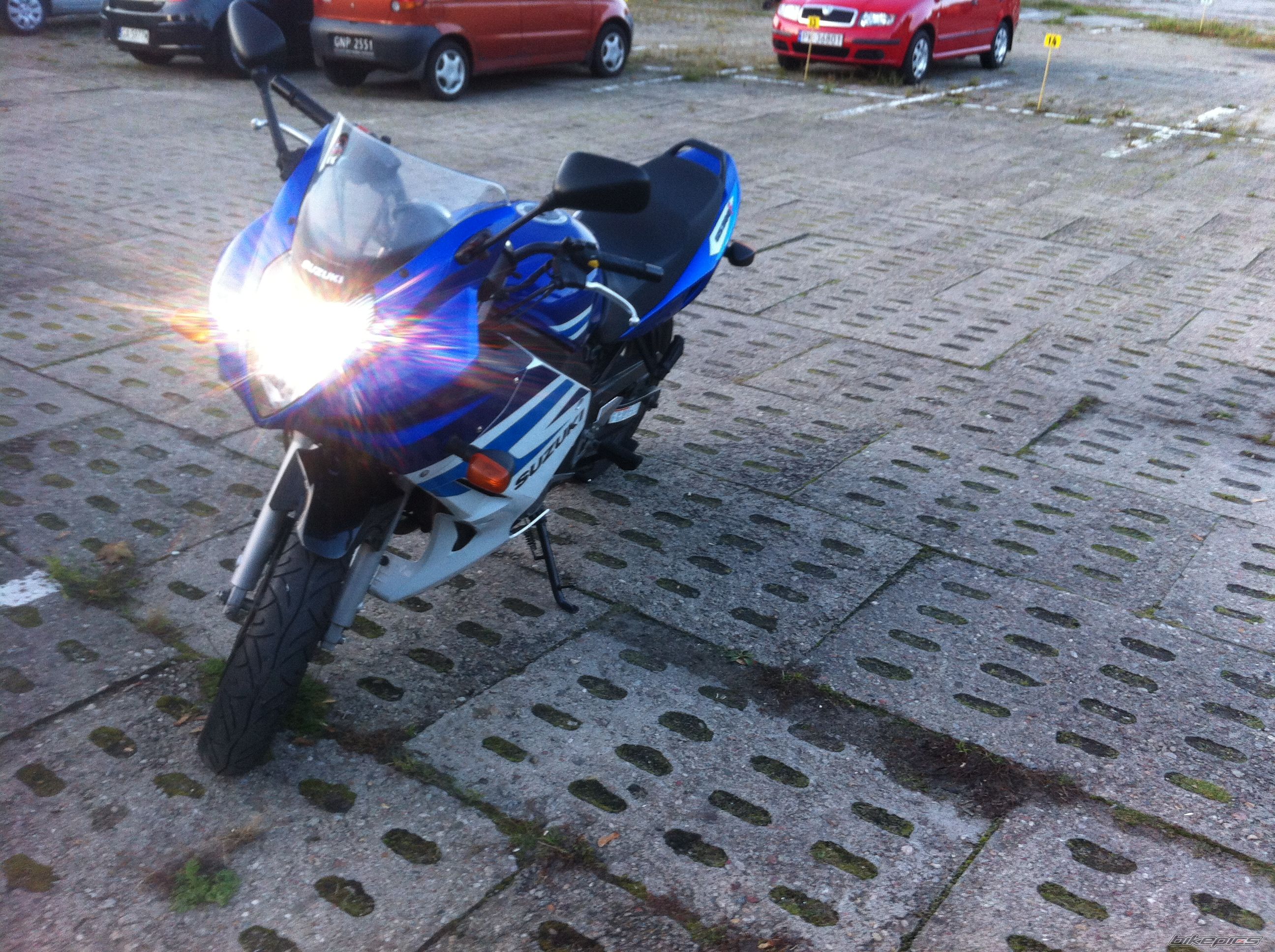 2005 SUZUKI GS500F | Picture 2493628 motorcycle photo