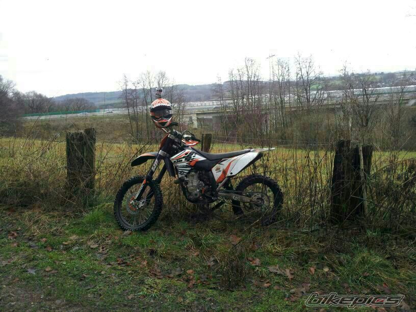 2009 KTM 450 SX | Picture 2493880 motorcycle photo