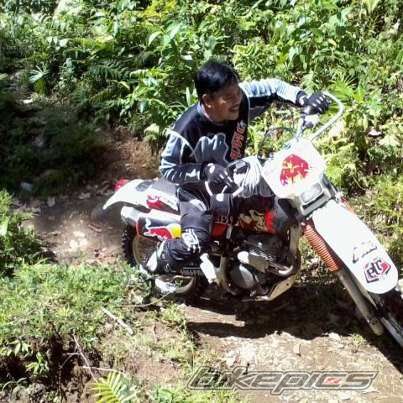1990 HONDA XR 250 | Picture 2494407 motorcycle photo