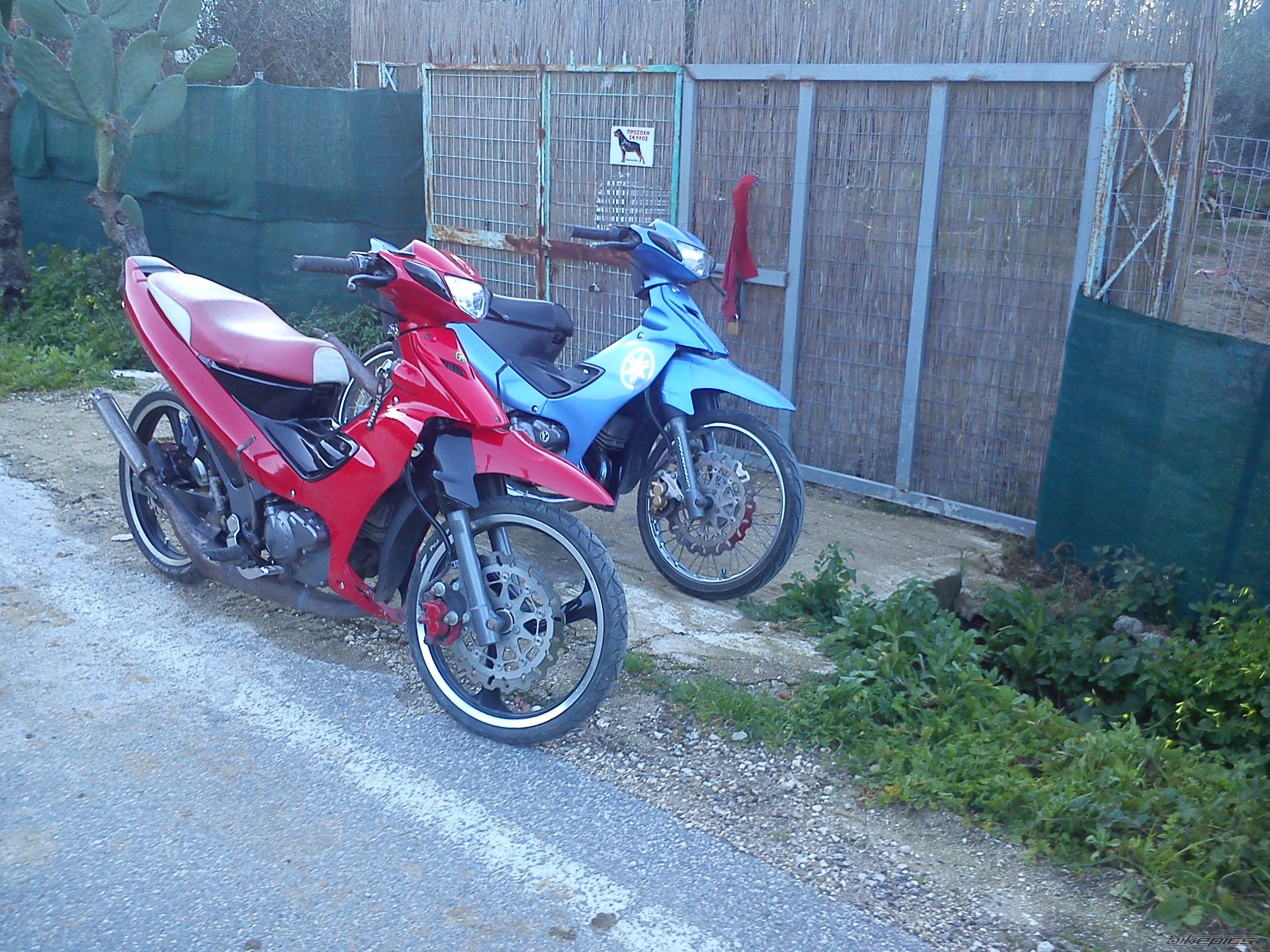 2012 YAMAHA 125 Z | Picture 2494425 motorcycle photo